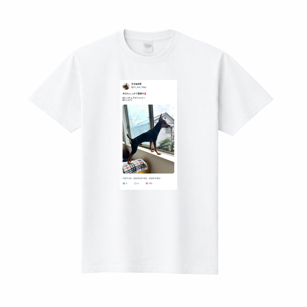 Tシャツ