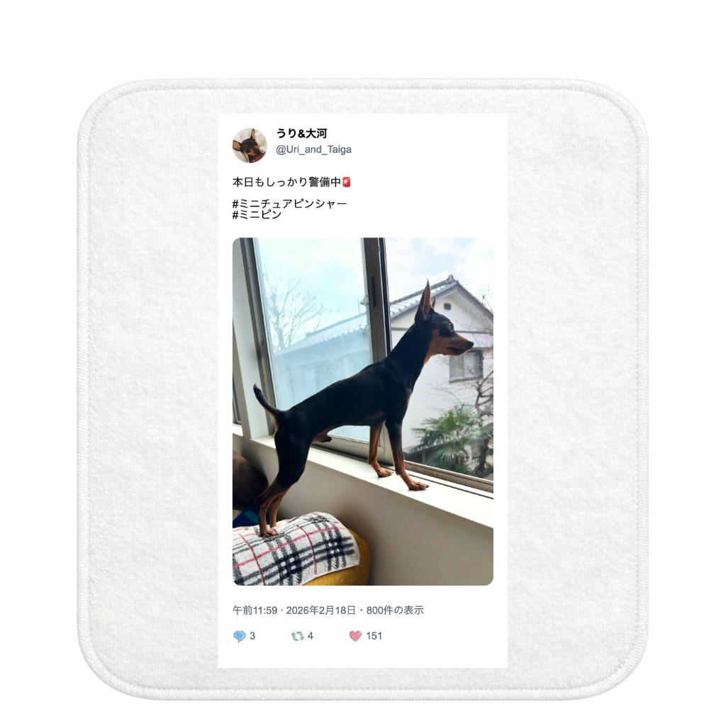 B賞: ハンカチタオル