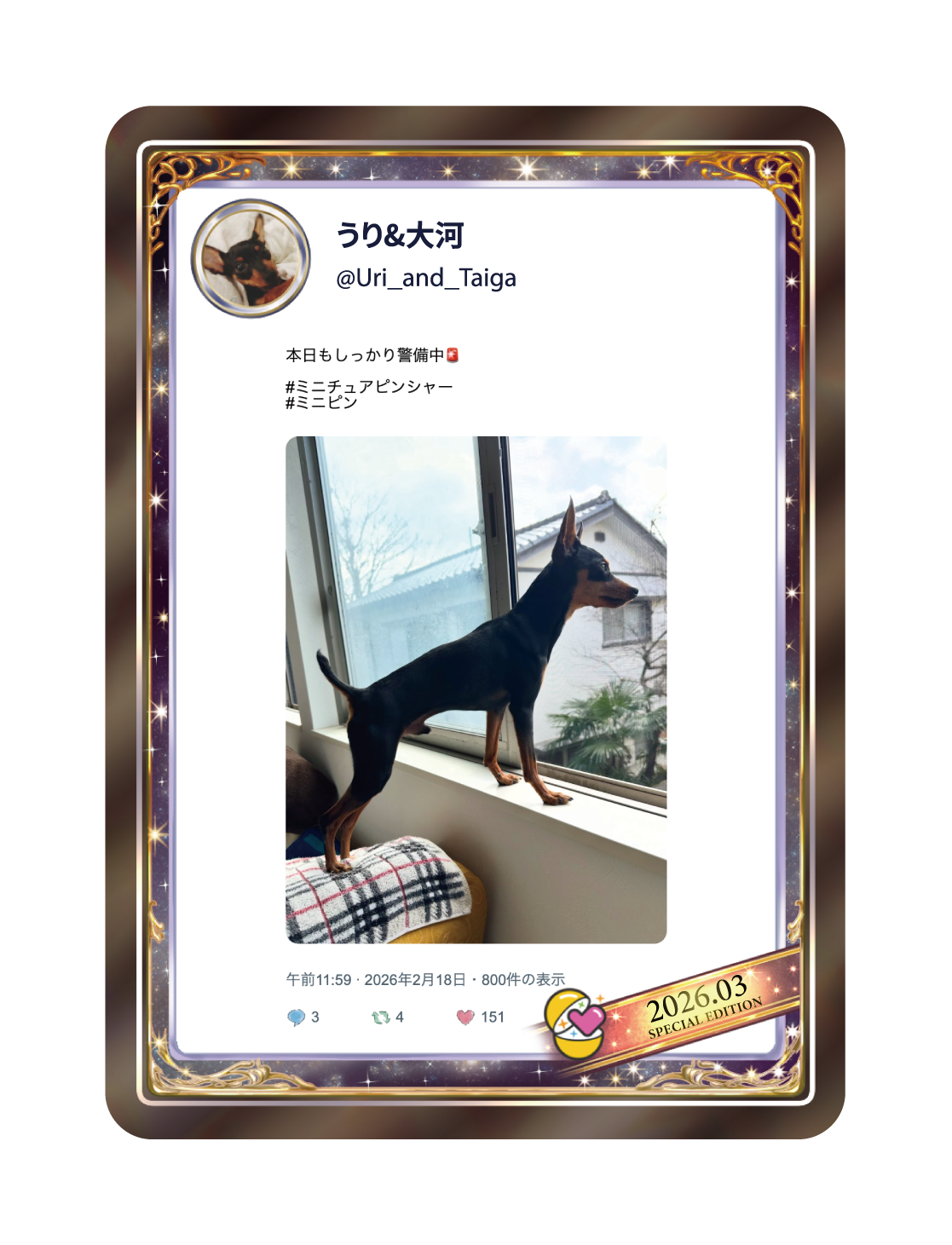 トレーディングカード