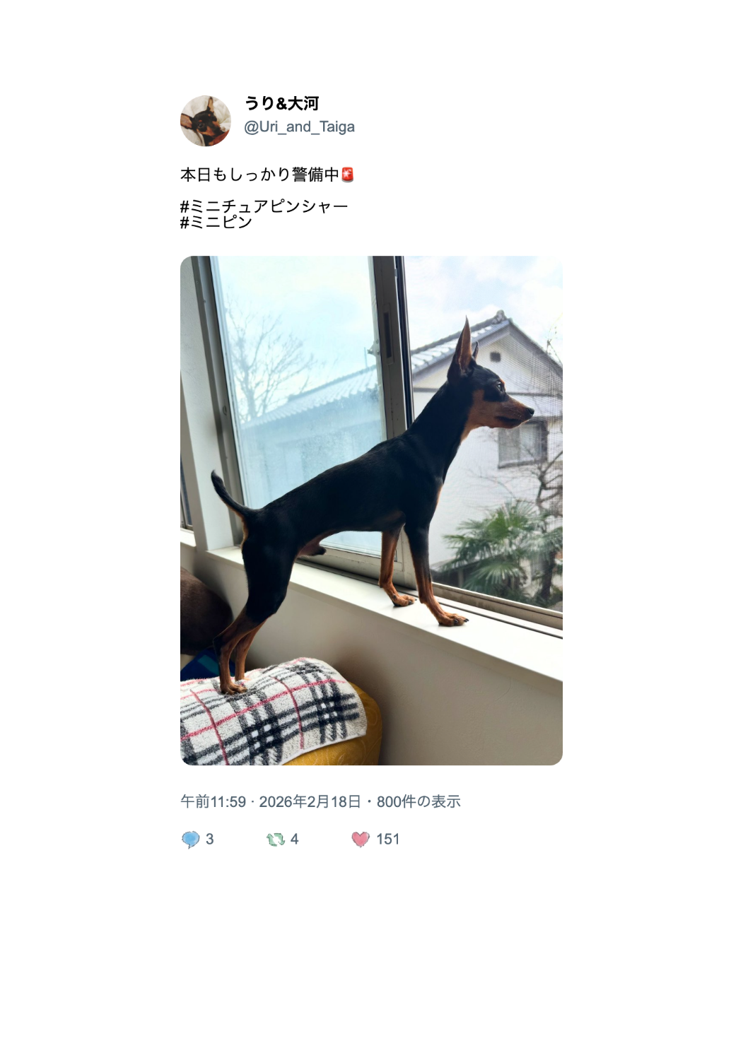 いいねフォト(50回引くと1回くじ)